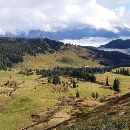 Hundetreffen 2019 im Allgäu (13)